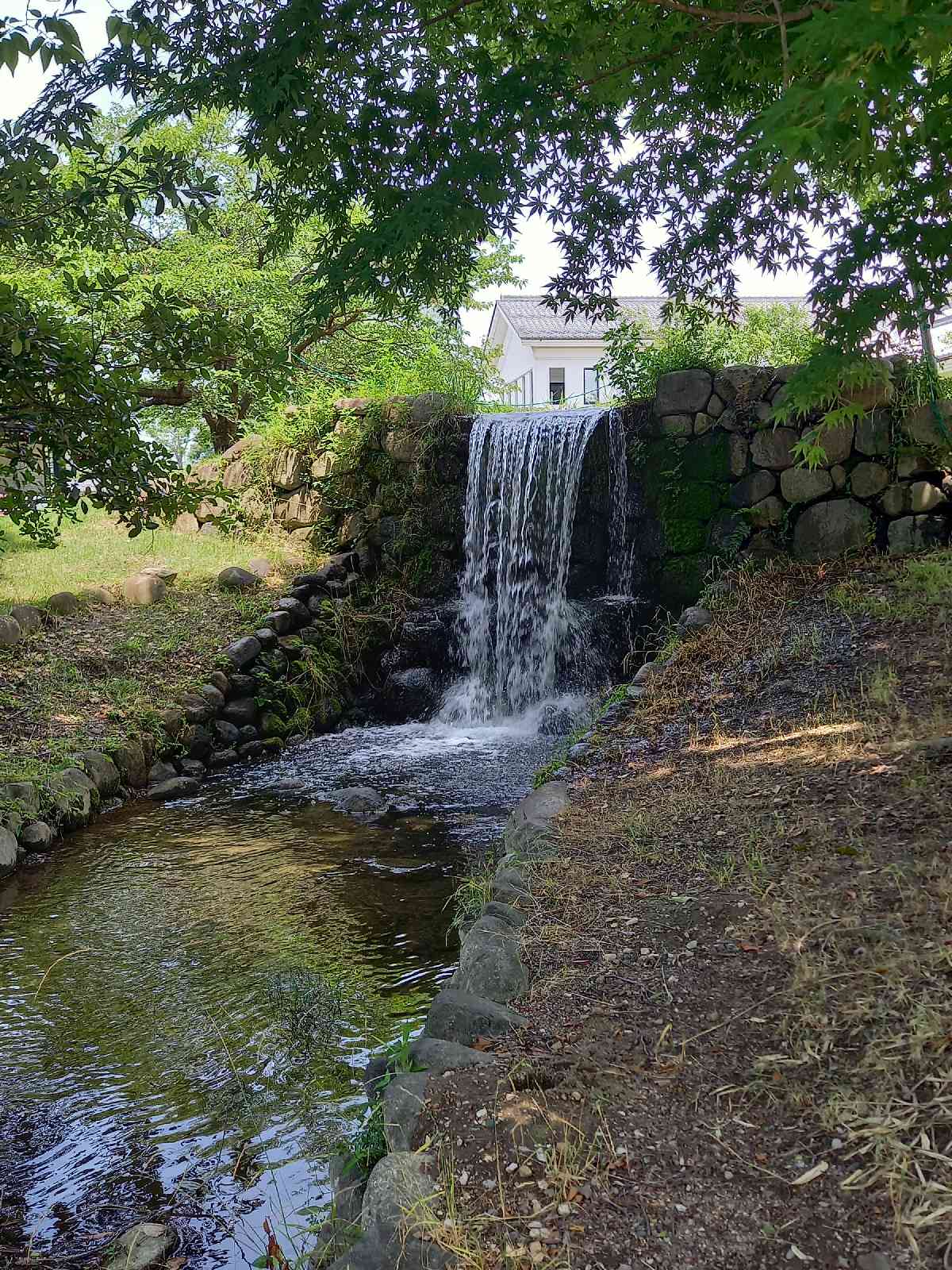 投稿された画像