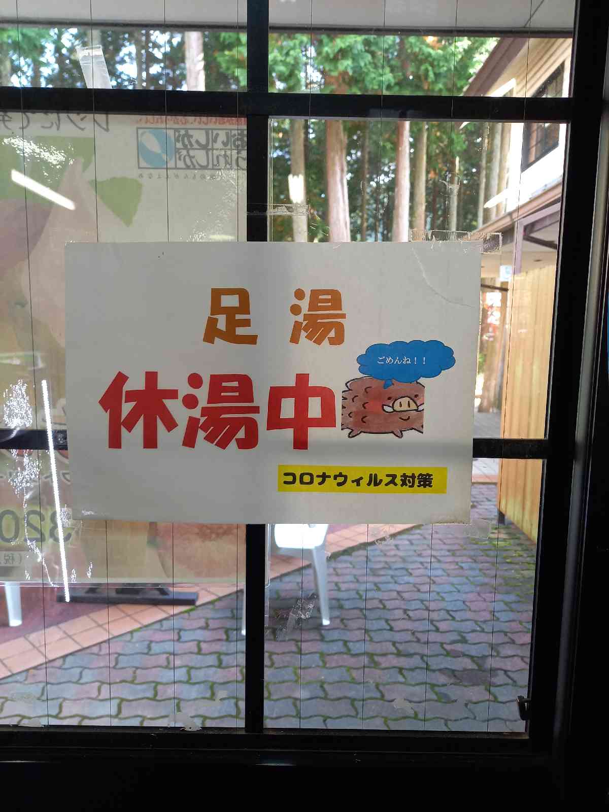 投稿された画像