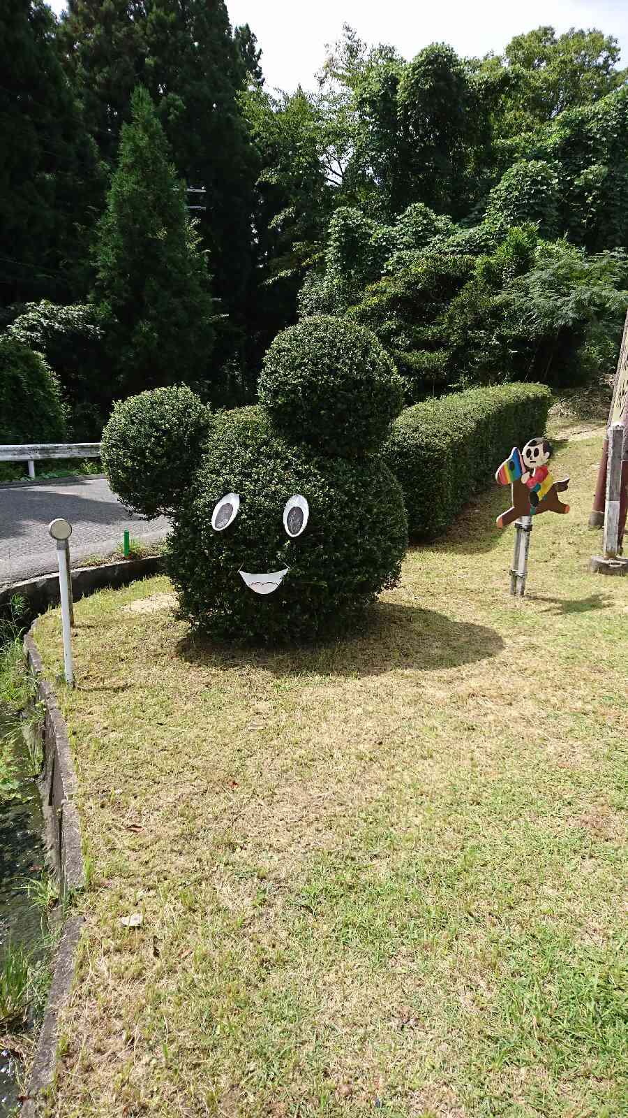 投稿された画像