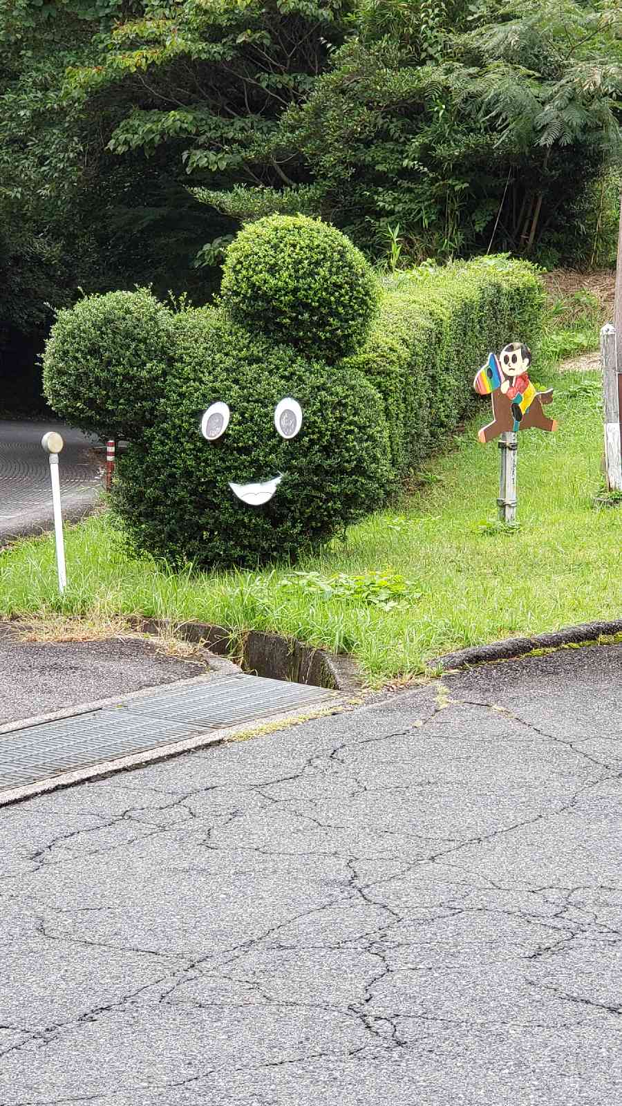 投稿された画像