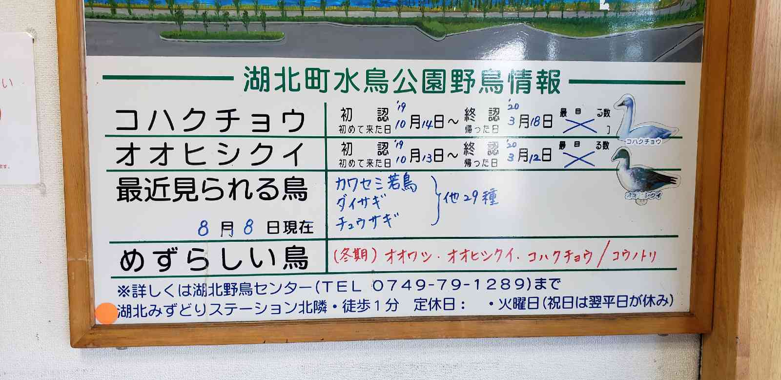 投稿された画像