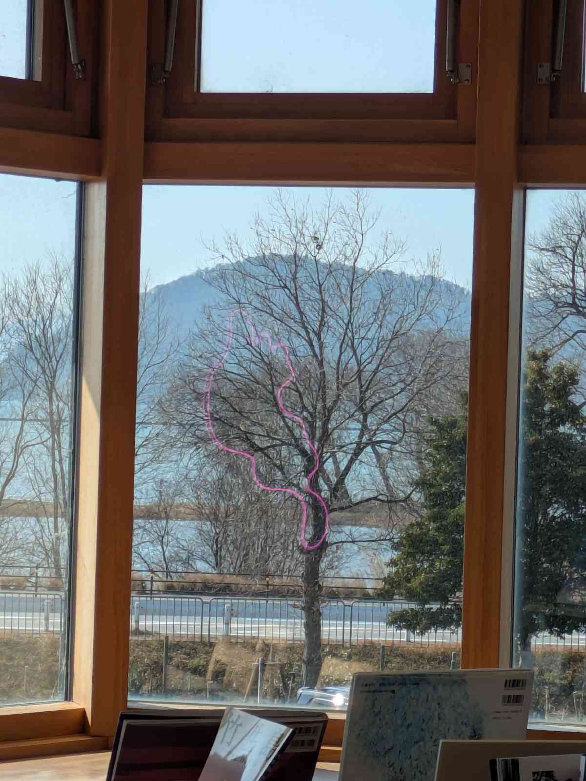 道の駅 湖北みずどりステーションの写真