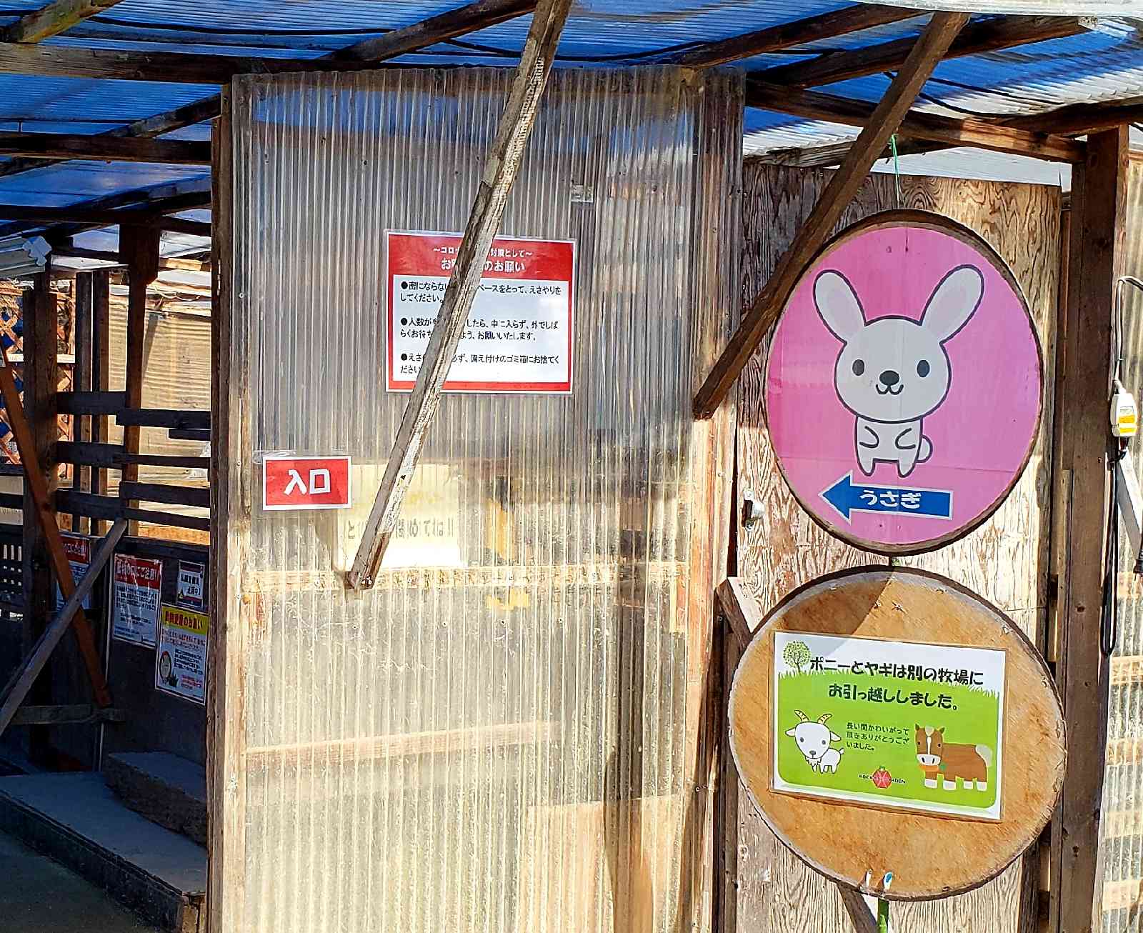 投稿された画像