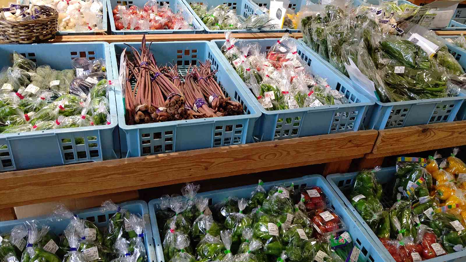 投稿された画像