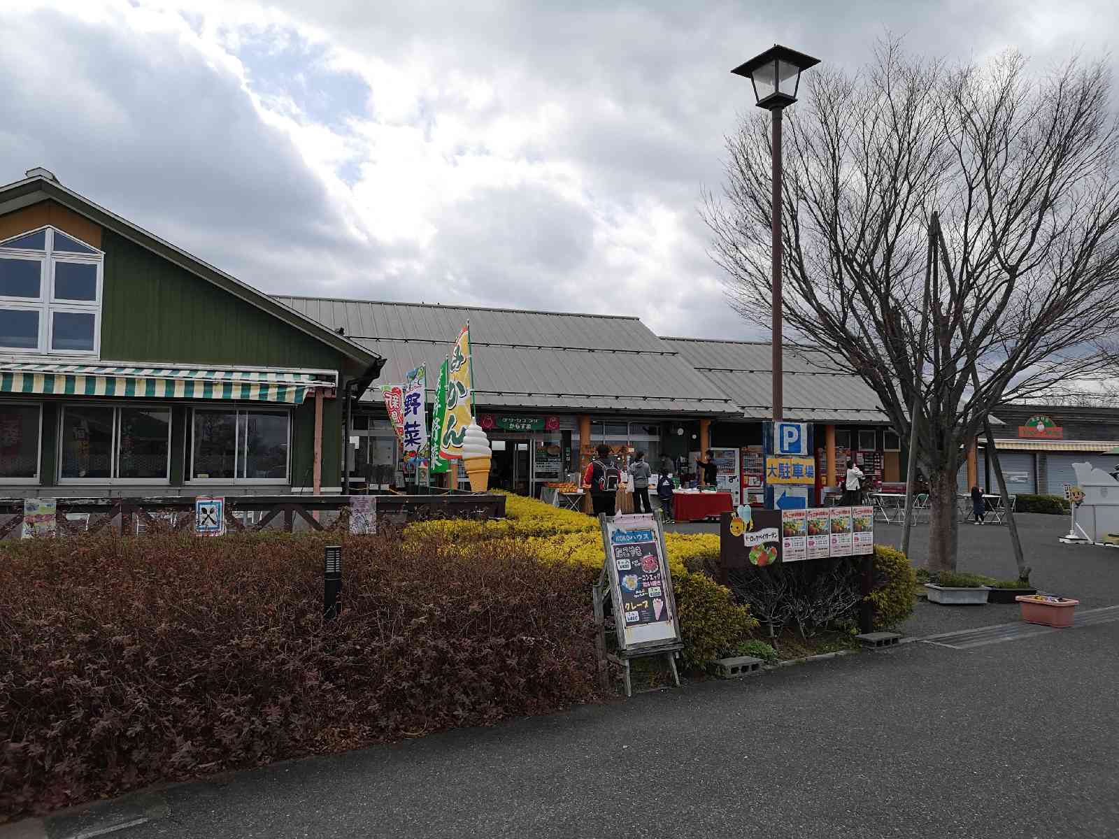 投稿された画像