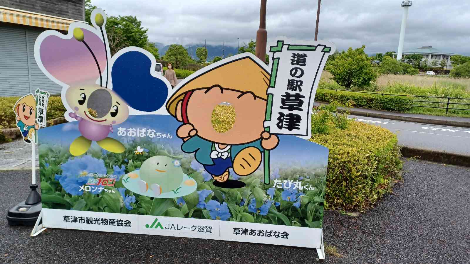 投稿された画像