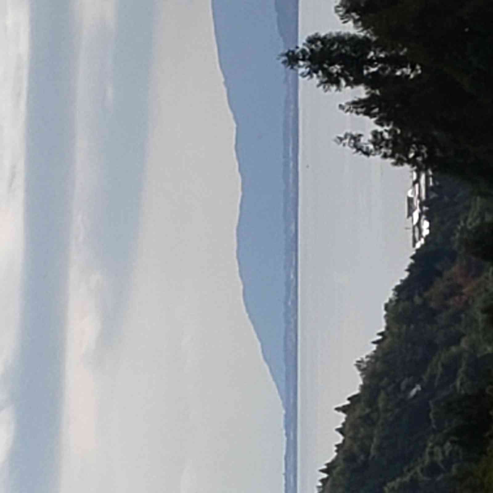 投稿された画像