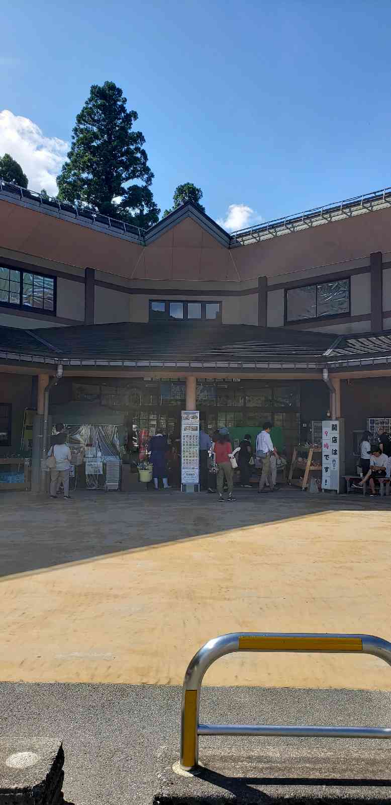 投稿された画像