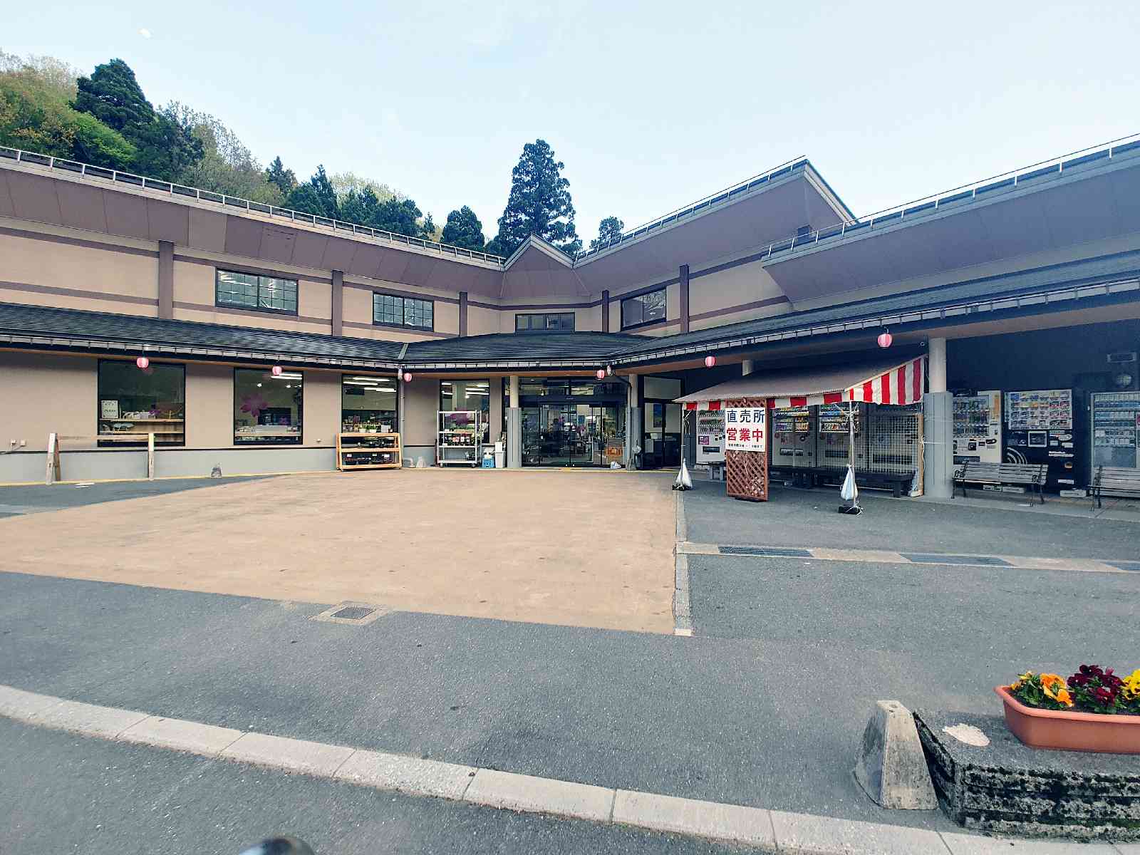 投稿された画像
