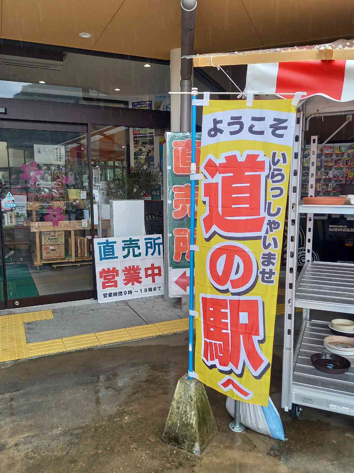 投稿された画像