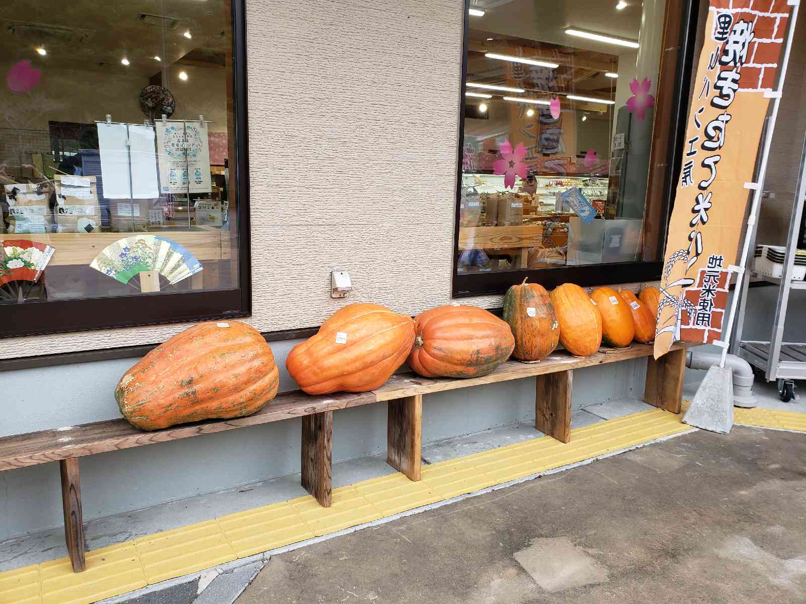 投稿された画像