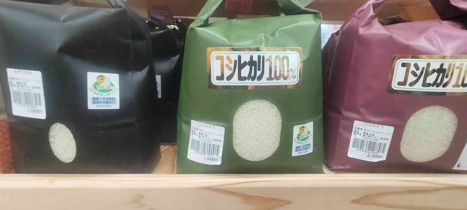 投稿された画像