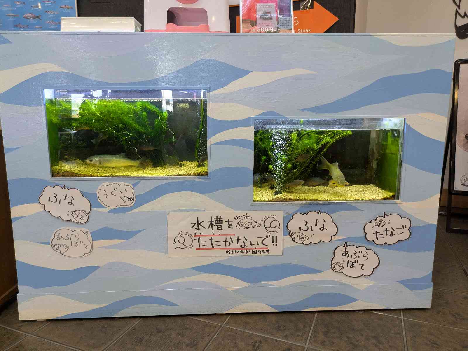 道の駅 藤樹の里あどがわの写真