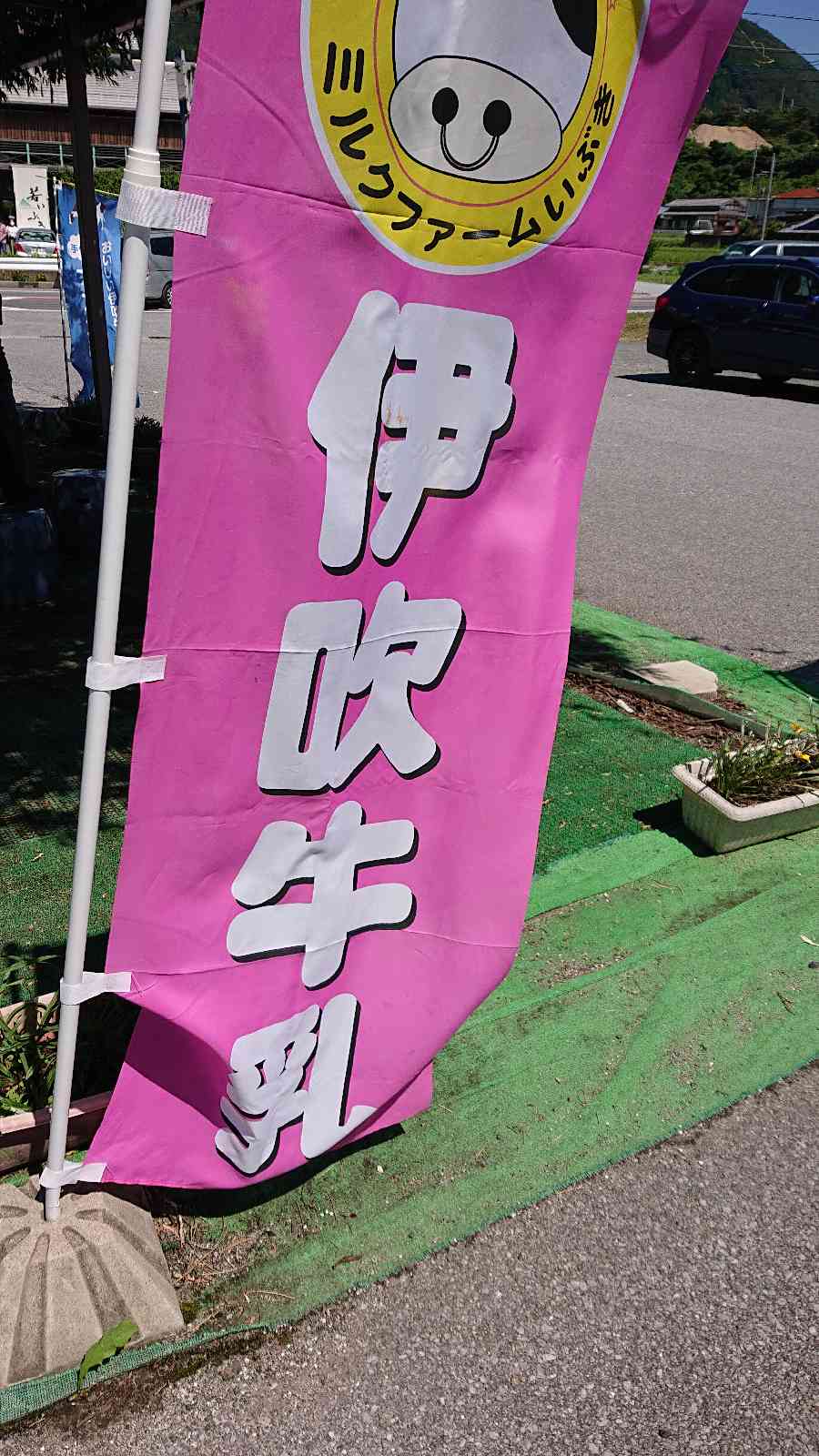 投稿された画像
