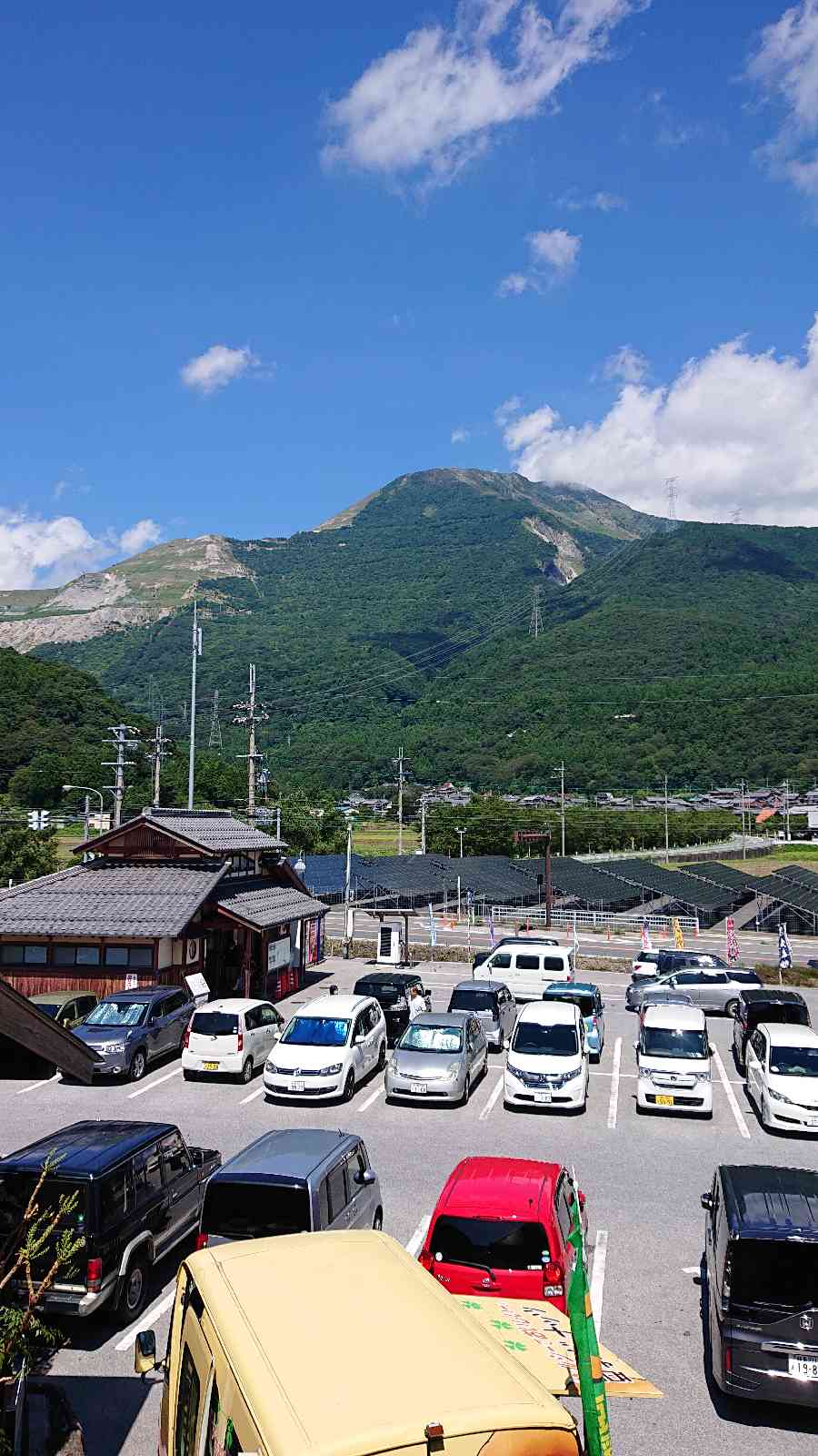 投稿された画像