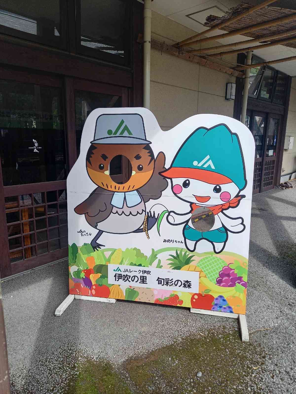 投稿された画像