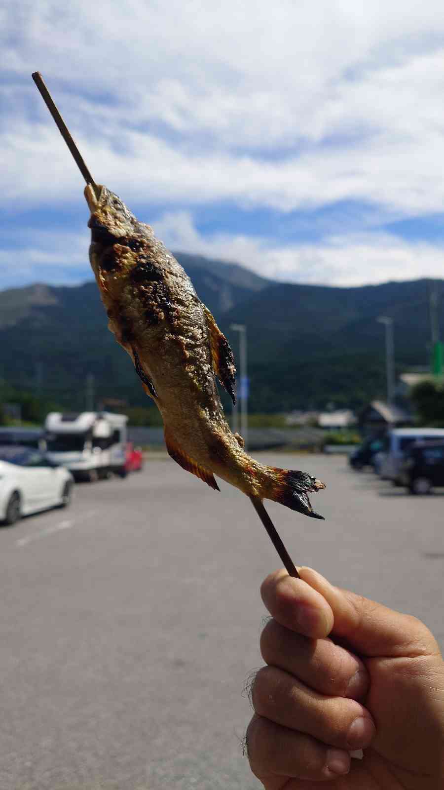 道の駅 伊吹の里の写真