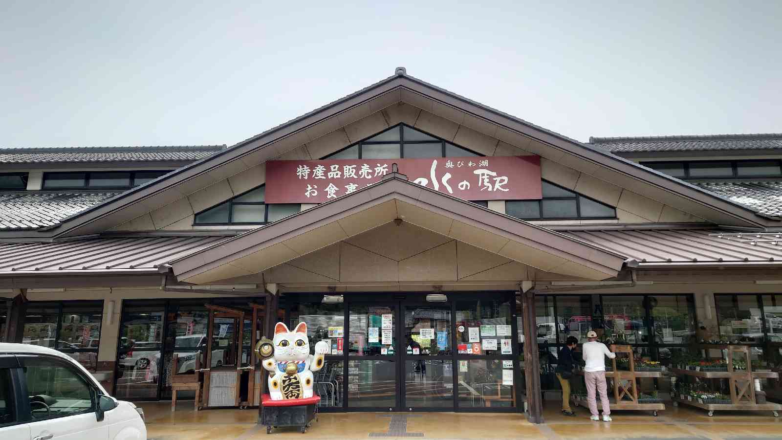 投稿された画像