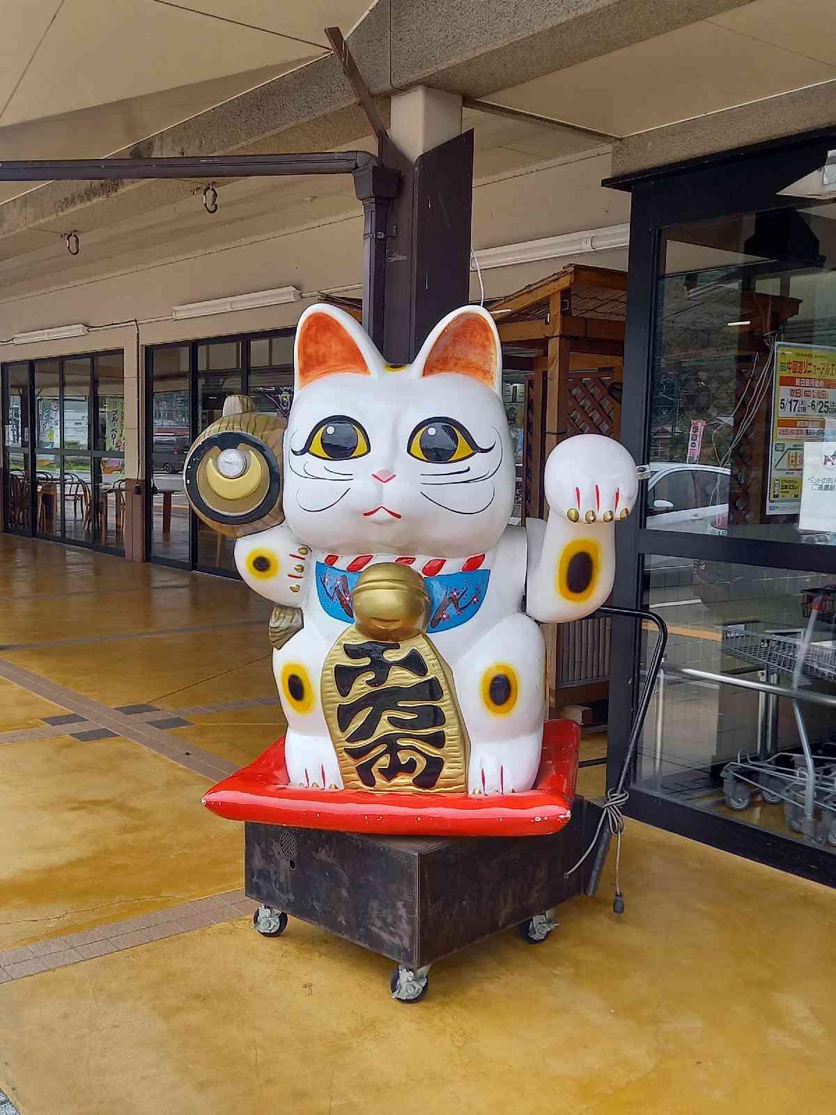 投稿された画像