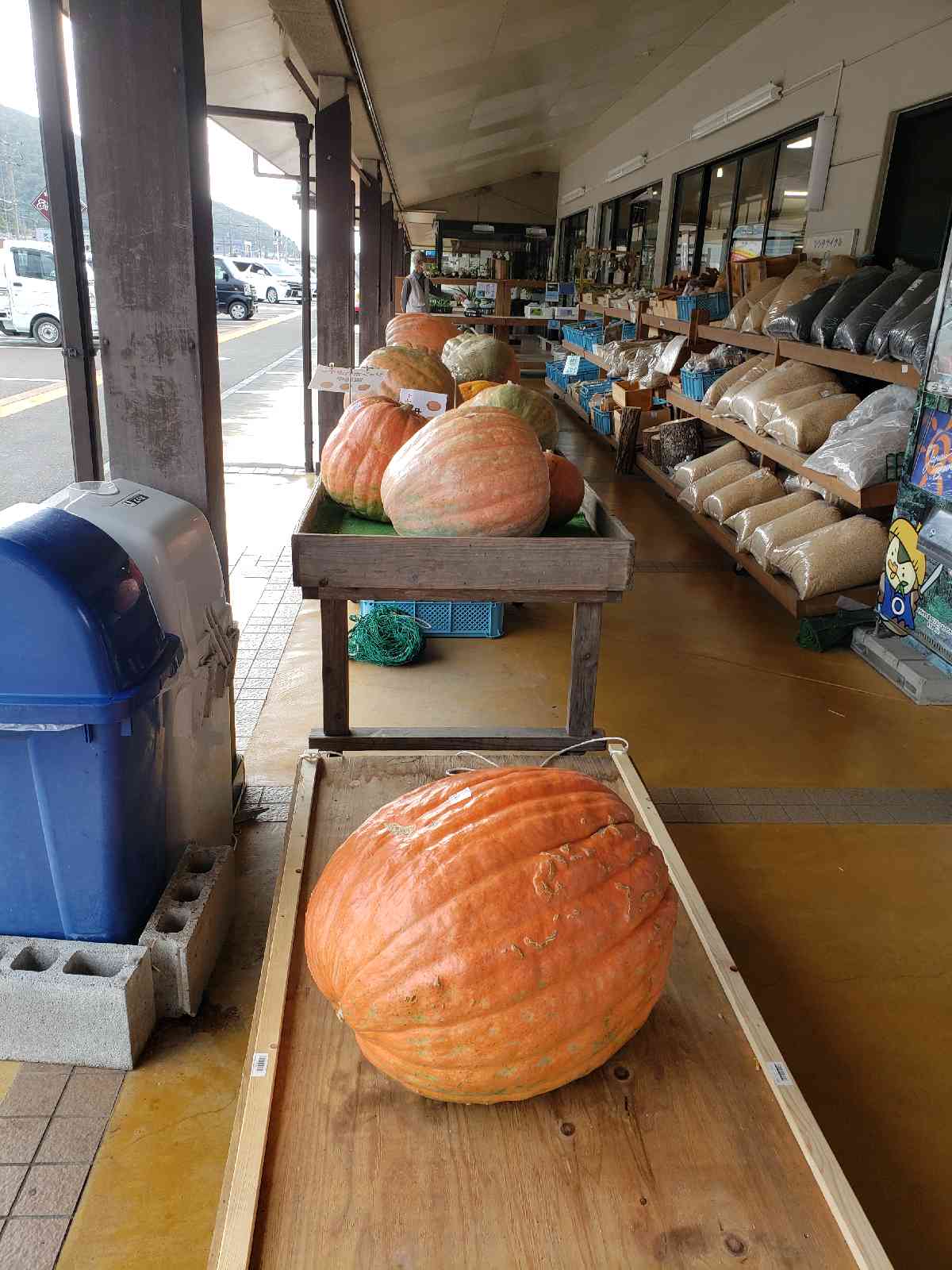 投稿された画像