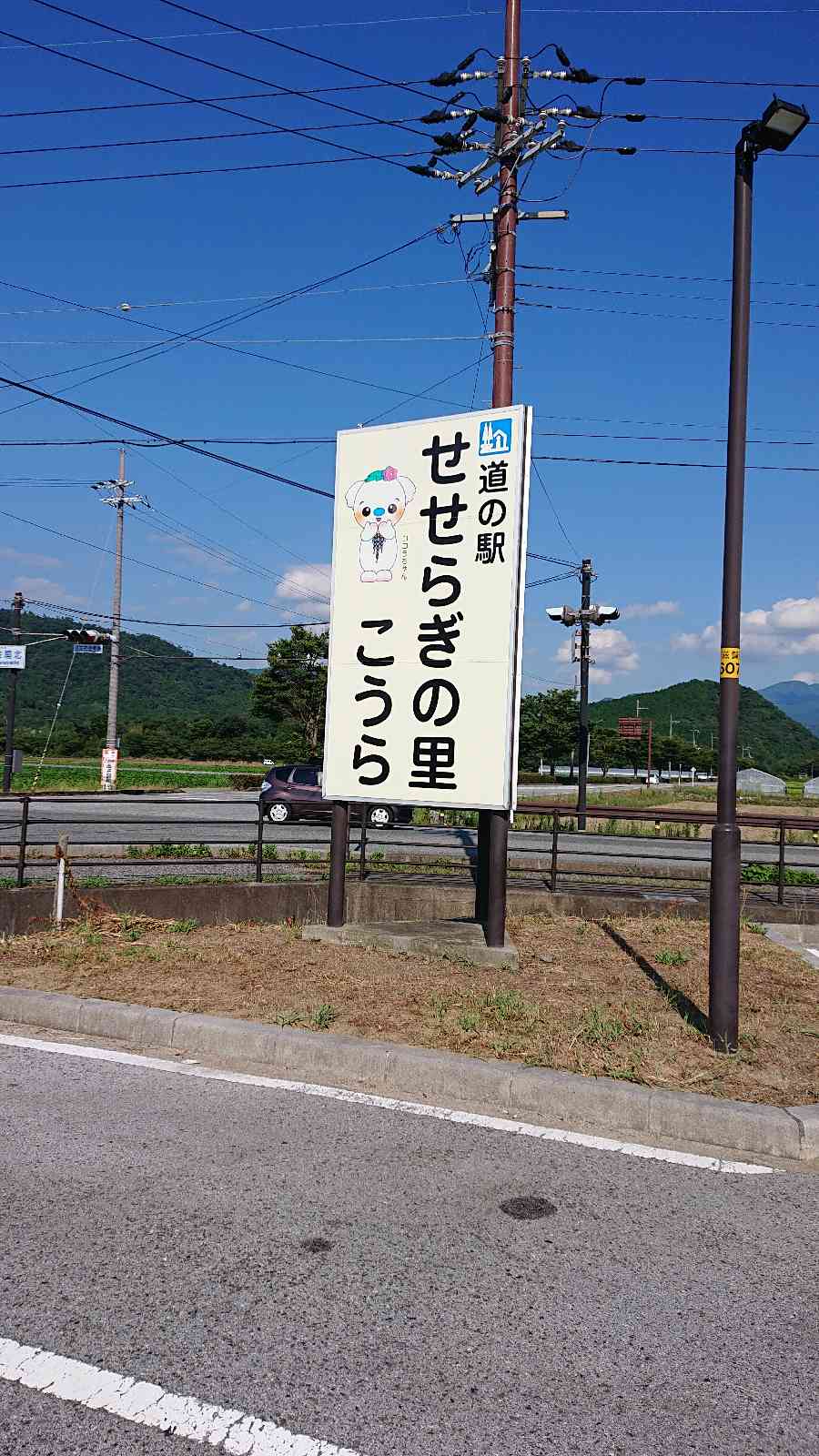 投稿された画像