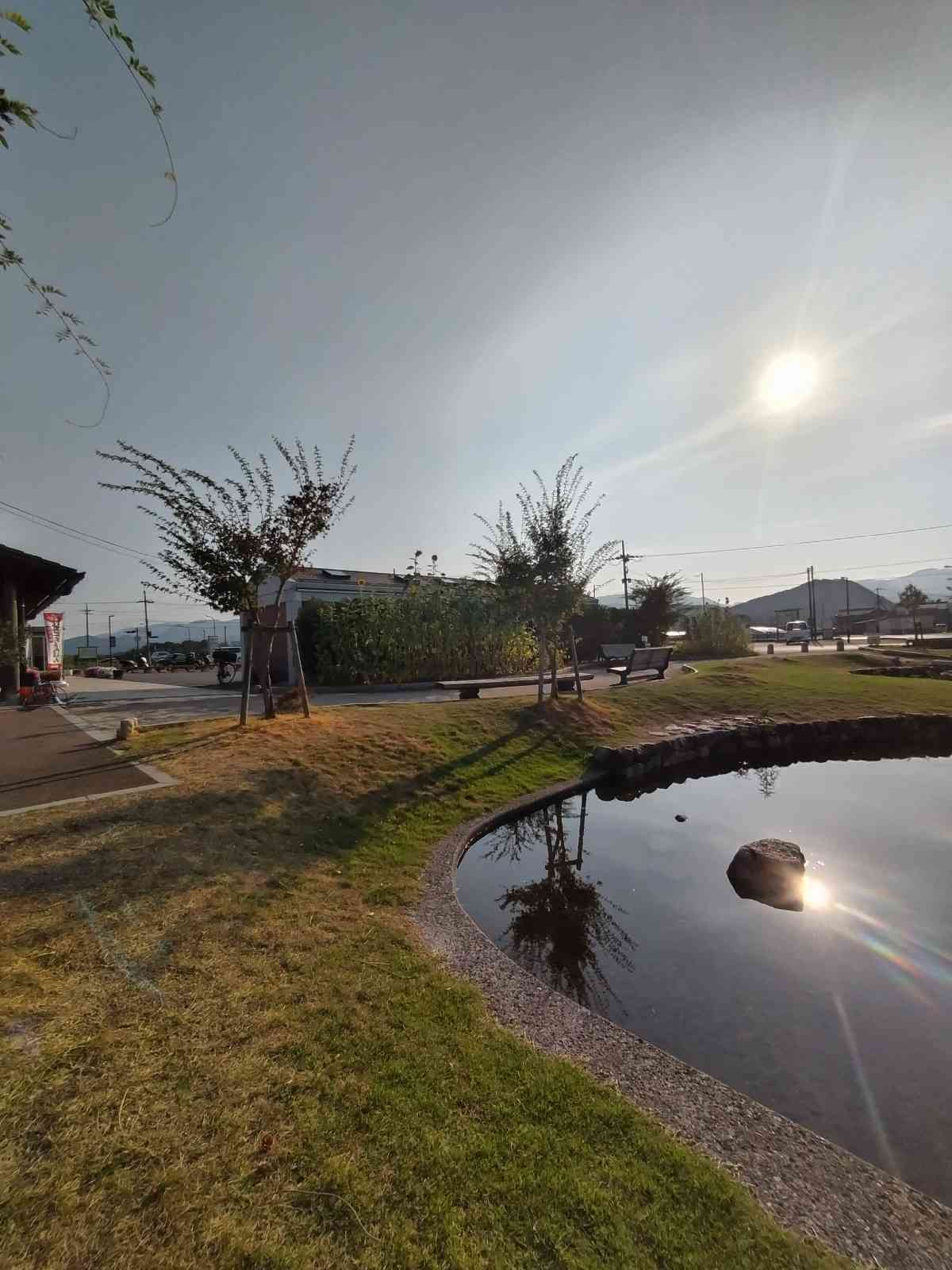 投稿された画像