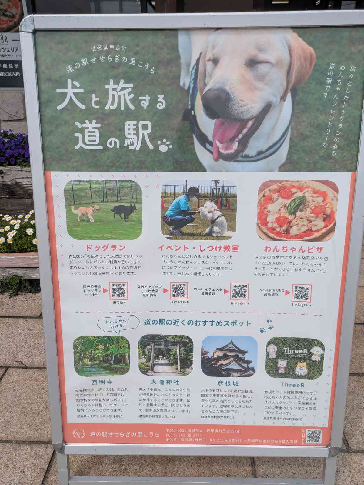 道の駅 せせらぎの里こうらの写真