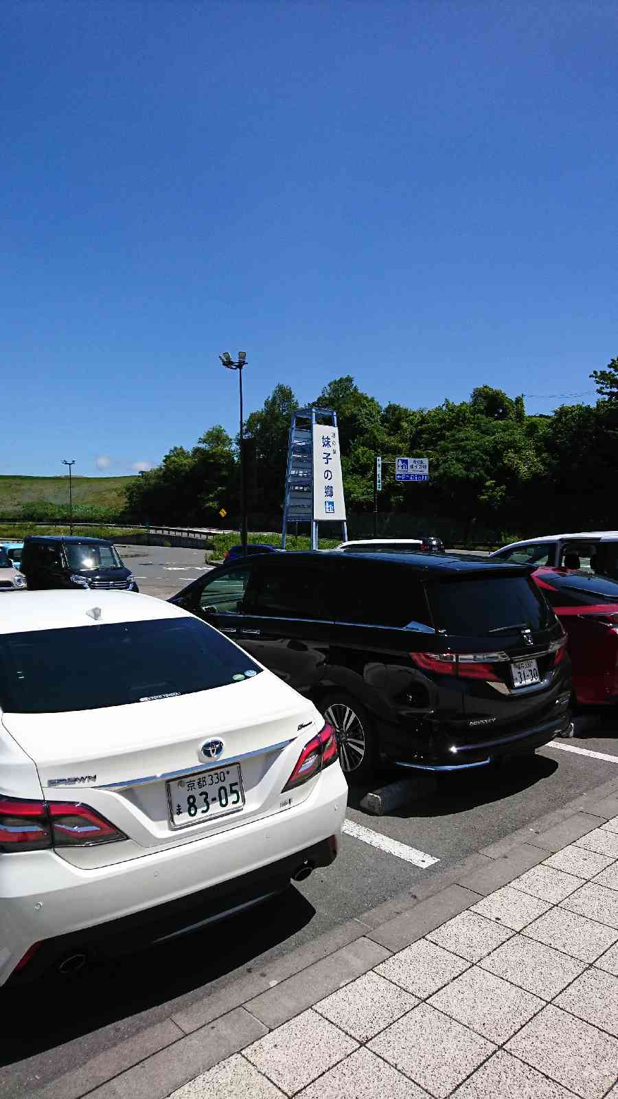 投稿された画像