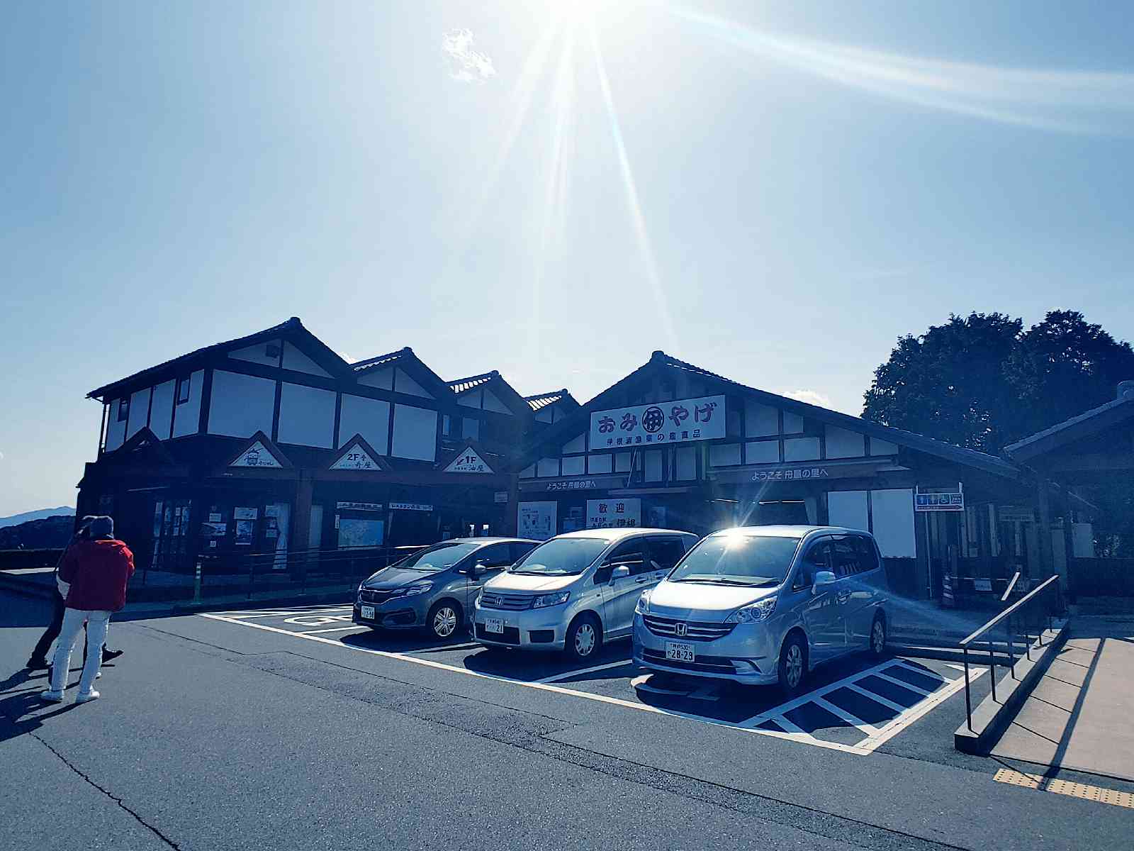投稿された画像