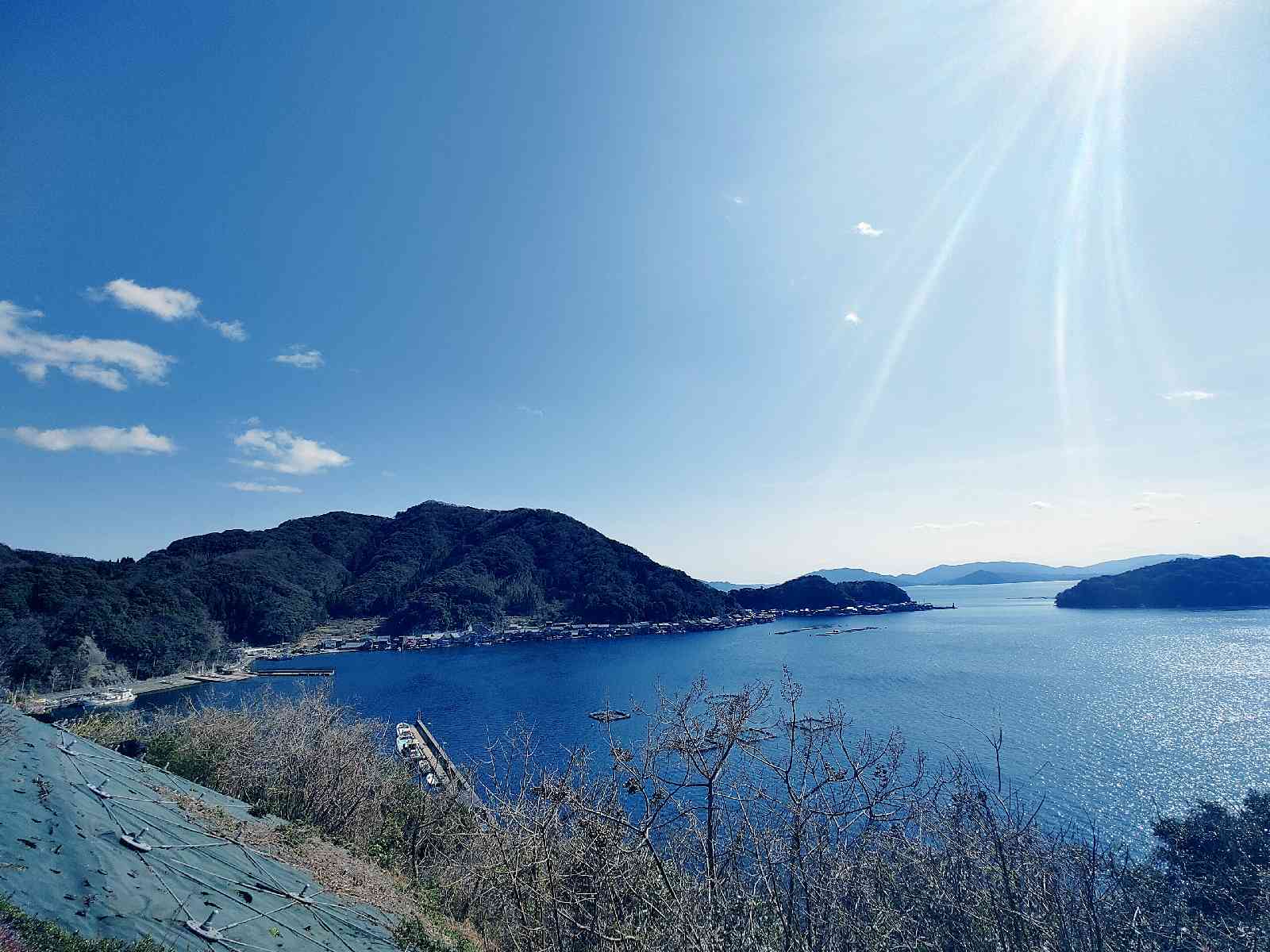 投稿された画像