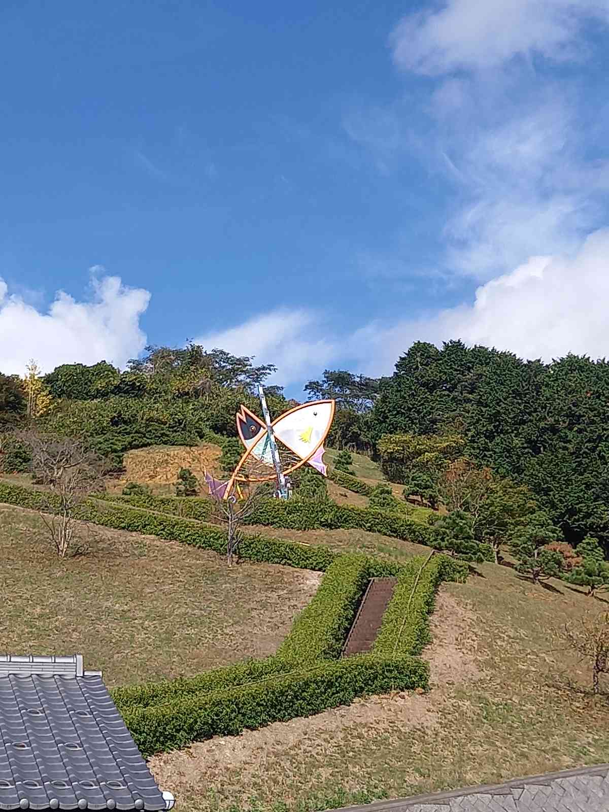 投稿された画像