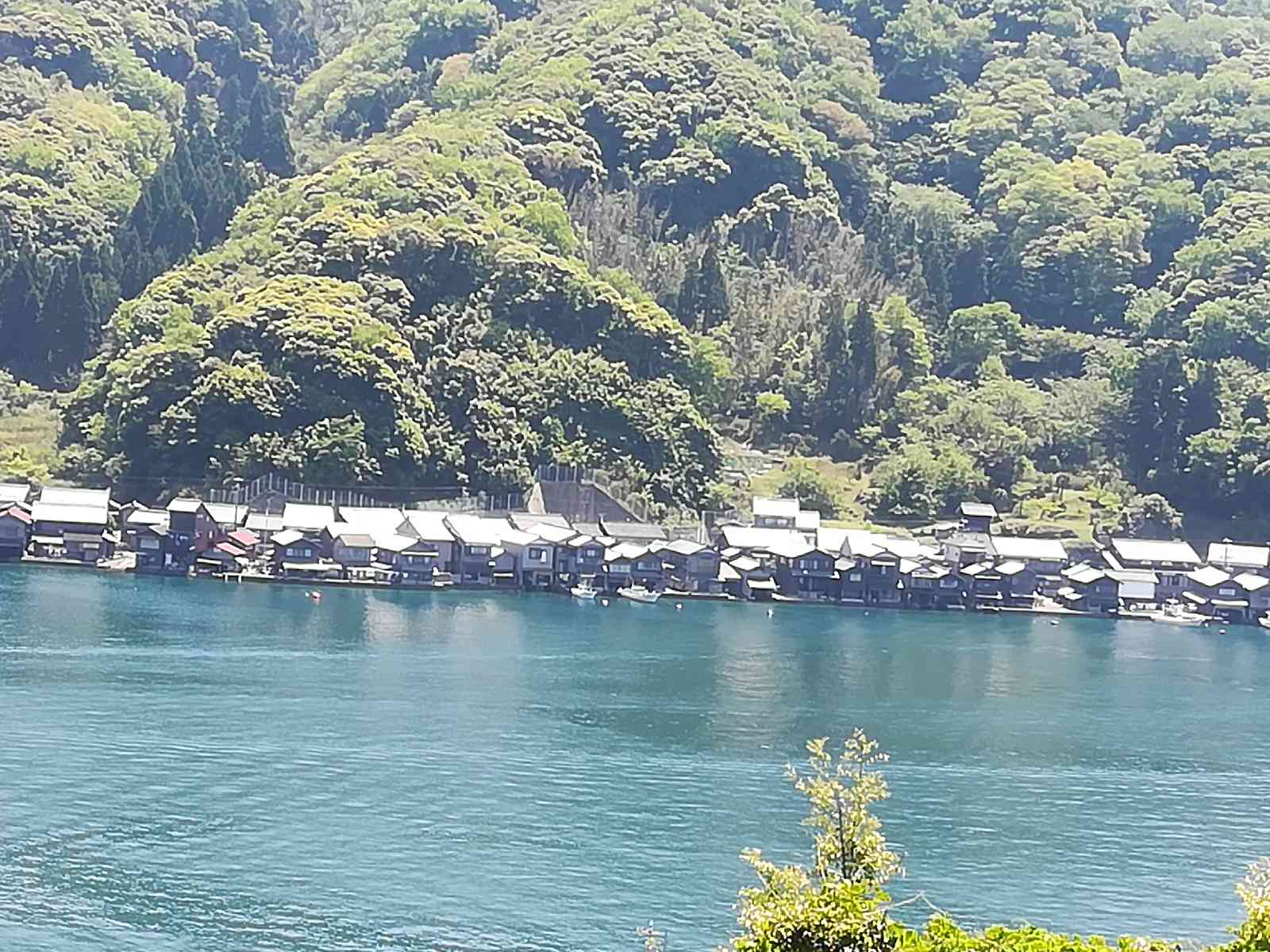 投稿された画像
