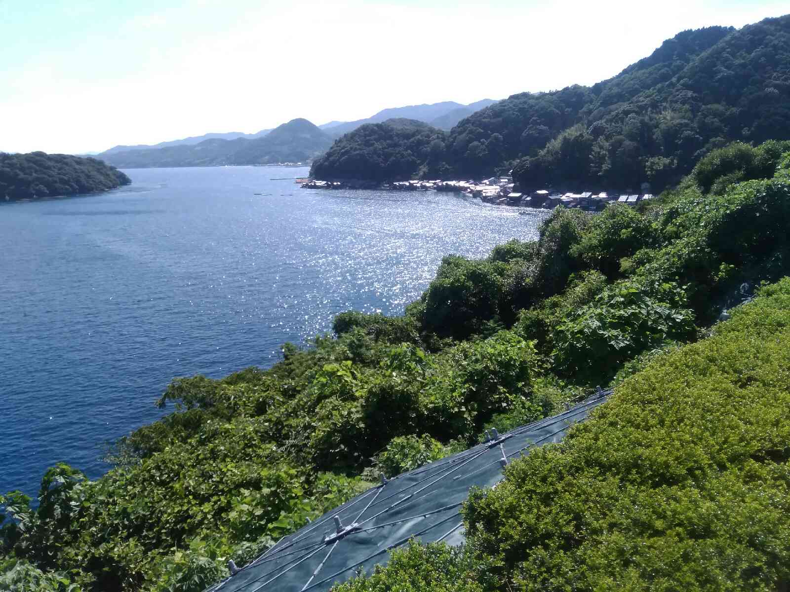 投稿された画像