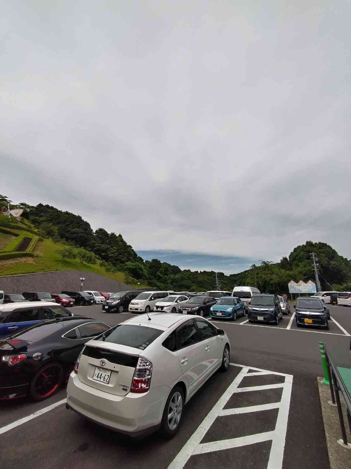 投稿された画像