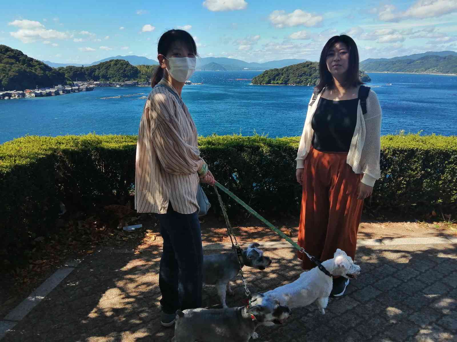 投稿された画像