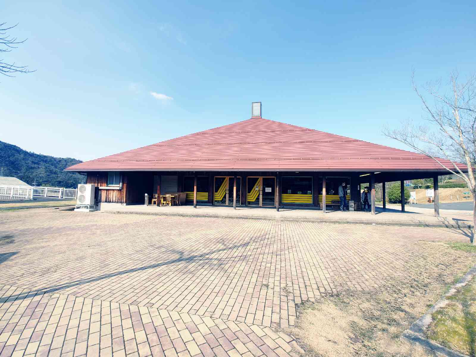 投稿された画像