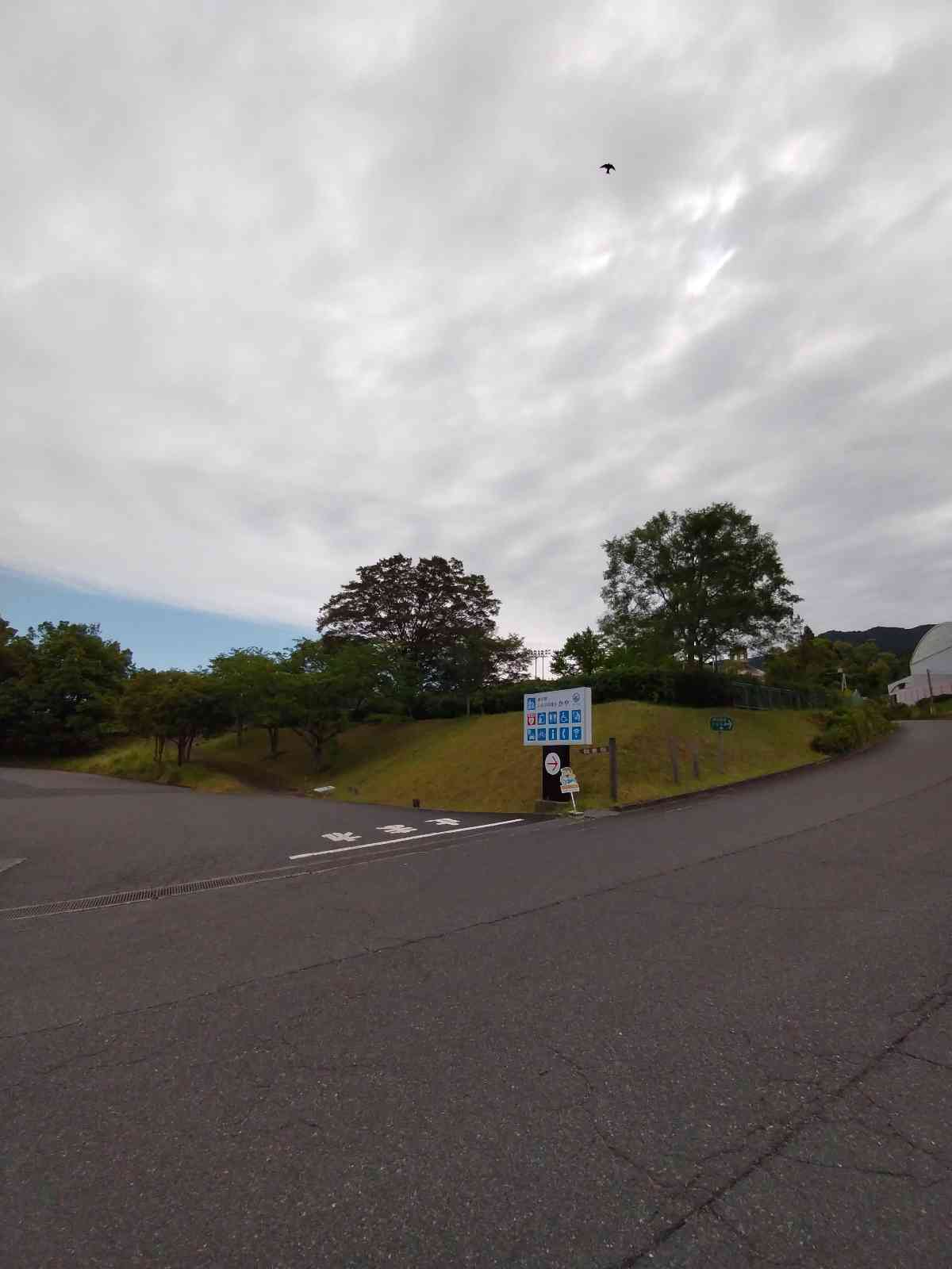 投稿された画像