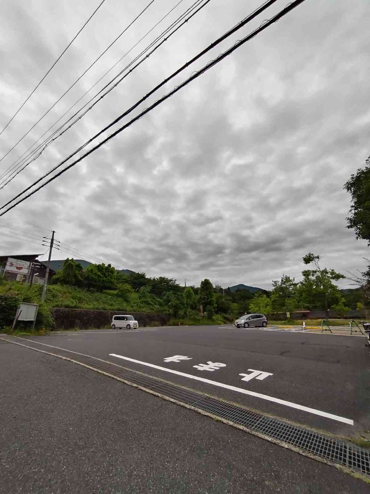 投稿された画像