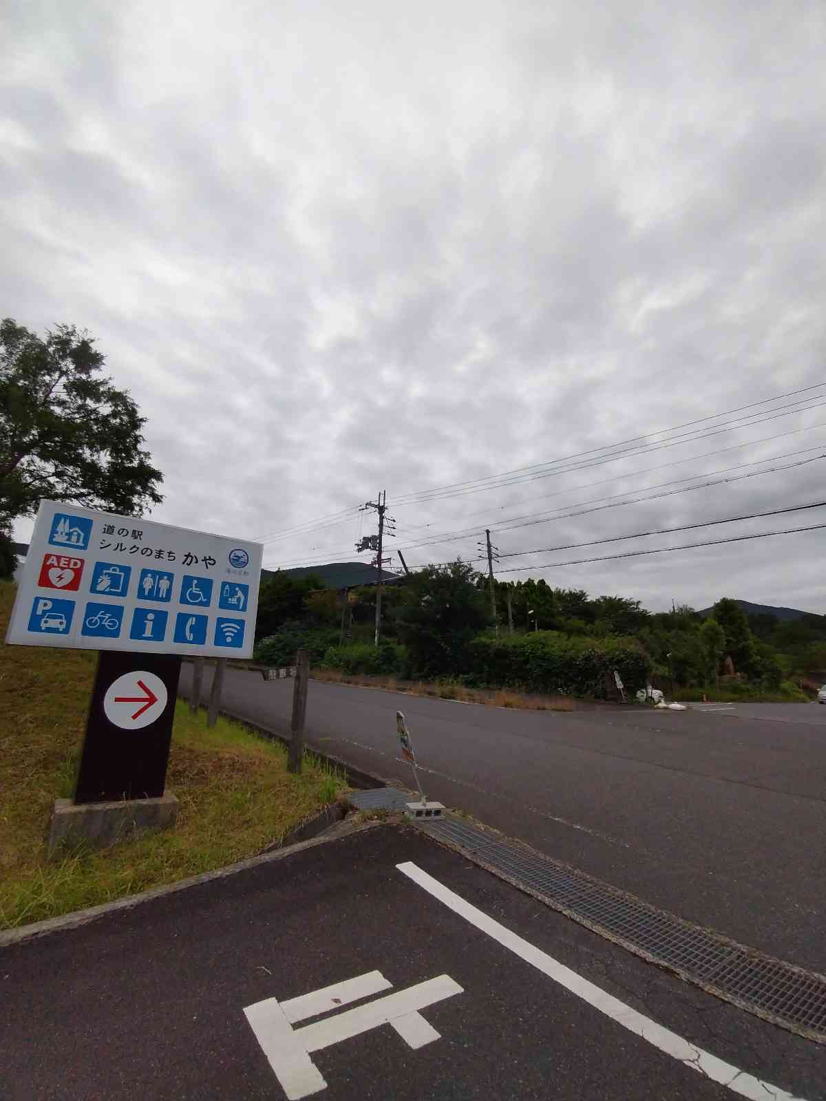 投稿された画像