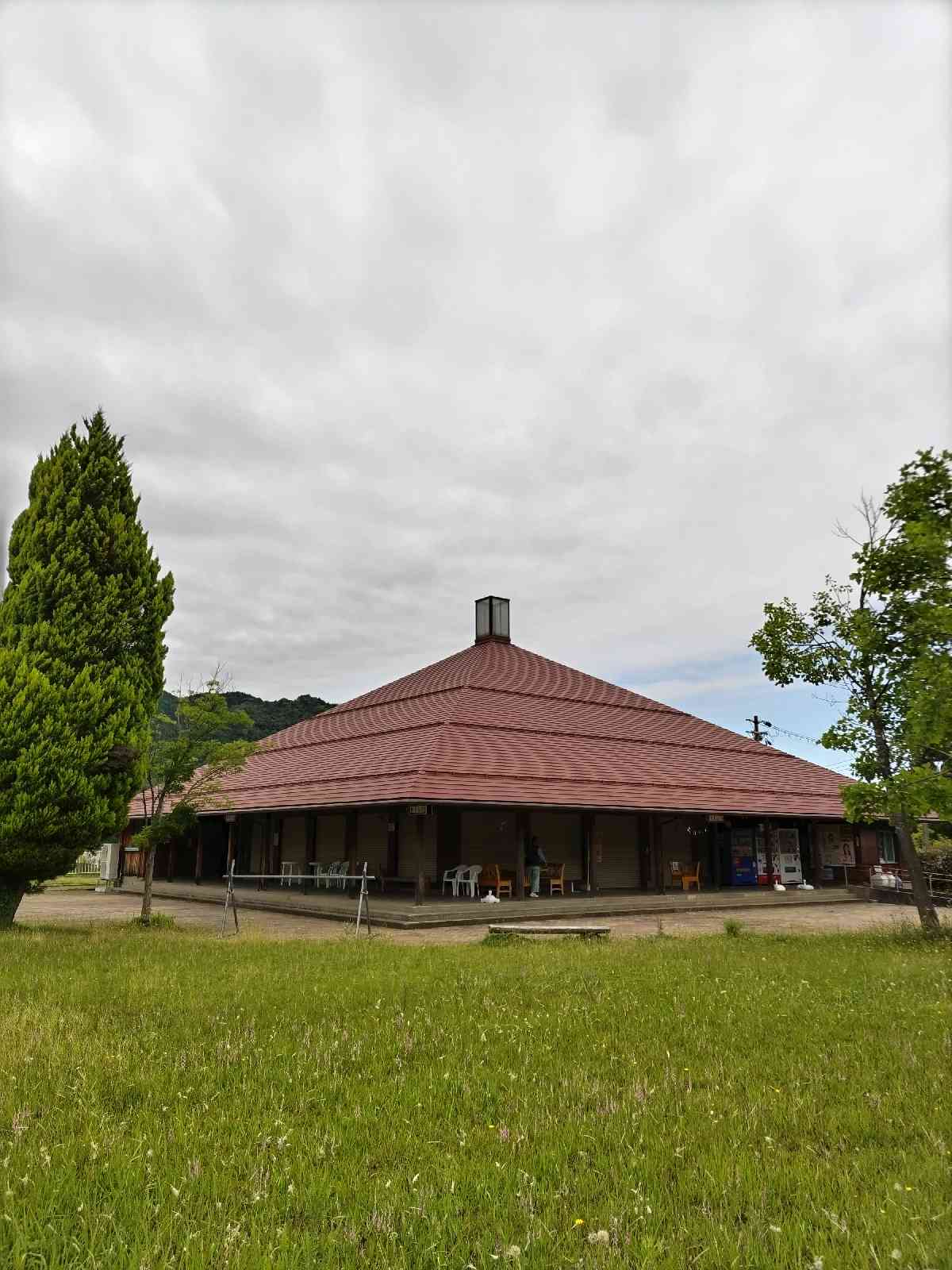 投稿された画像