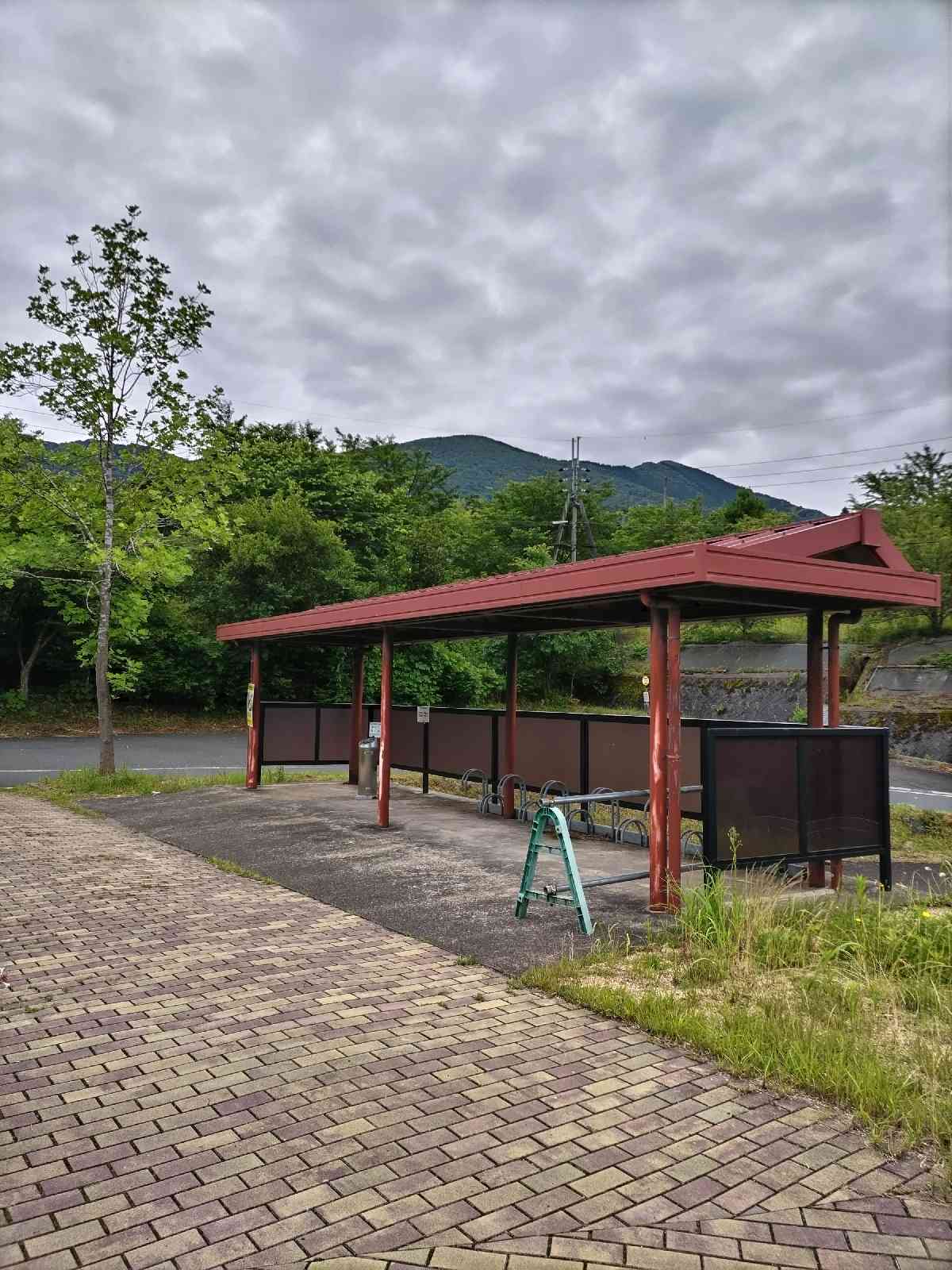 投稿された画像