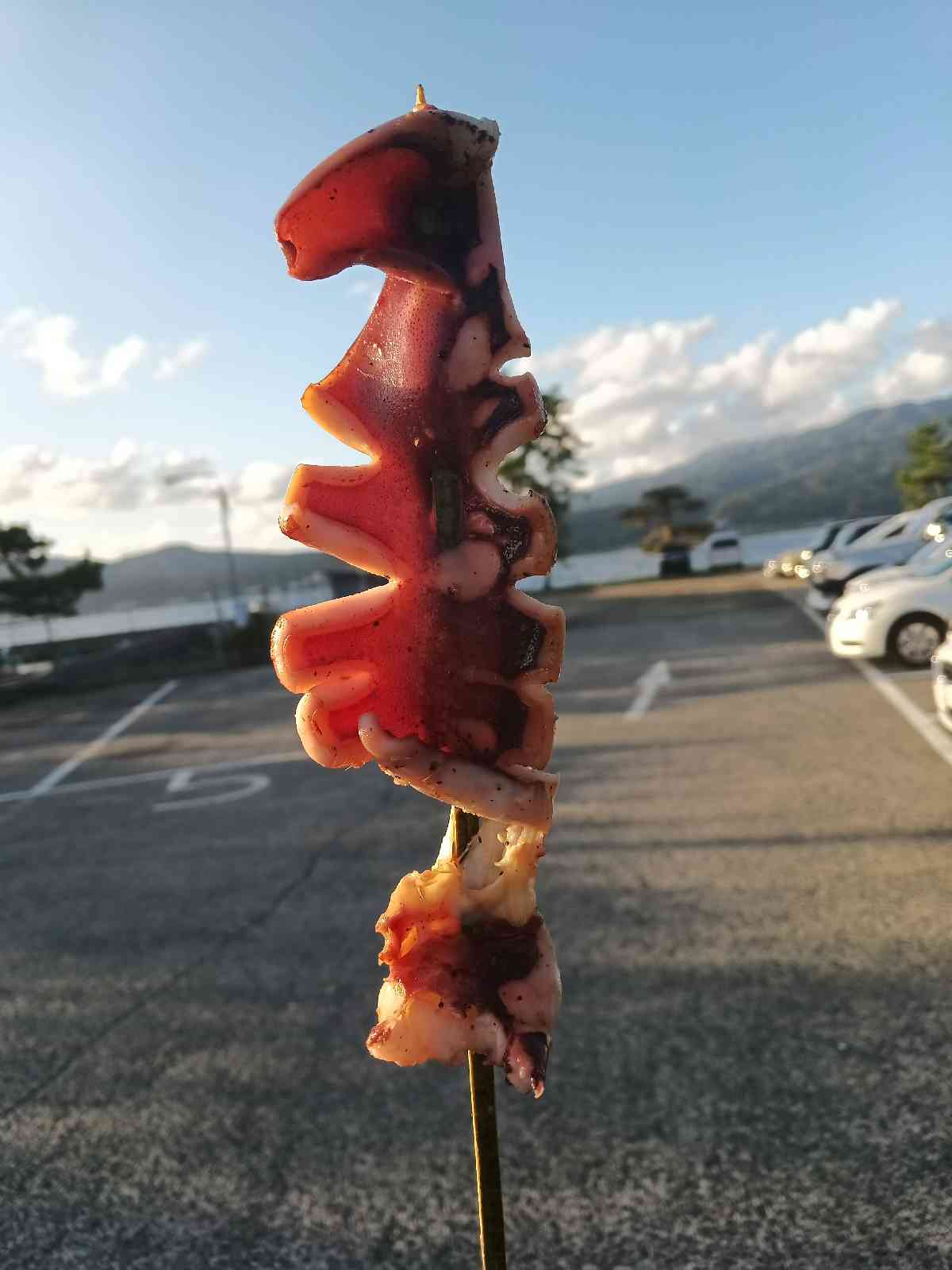 道の駅 シルクのまち　かやの写真