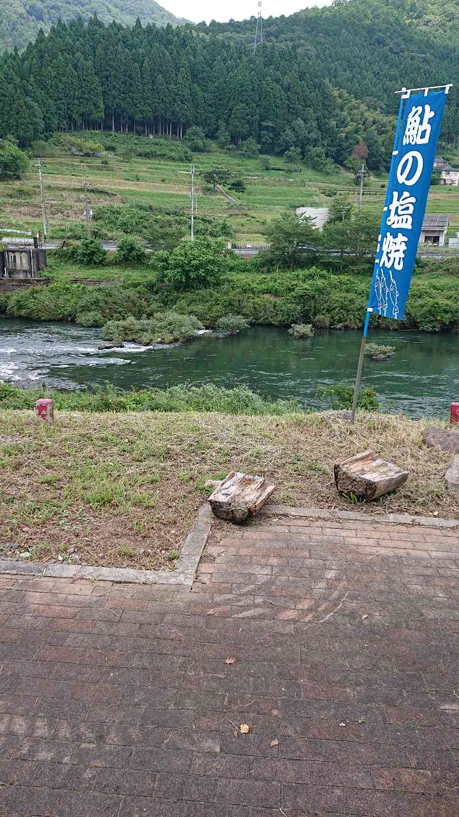 投稿された画像