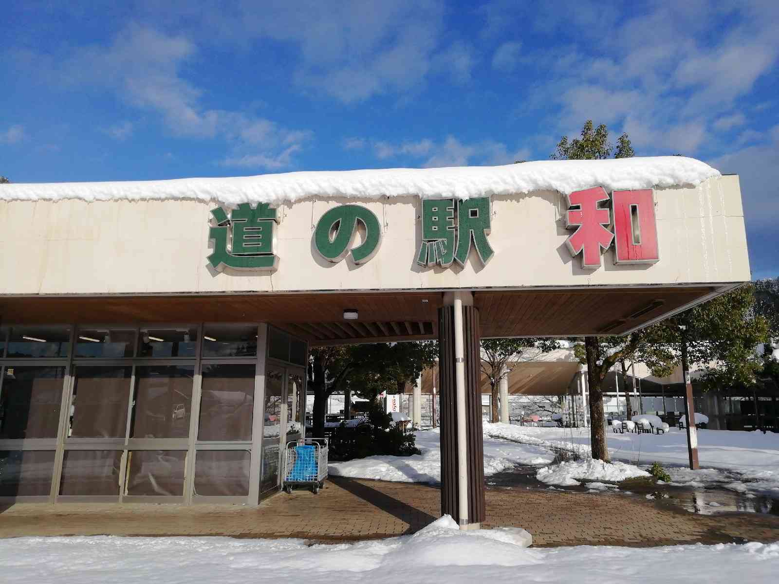 投稿された画像
