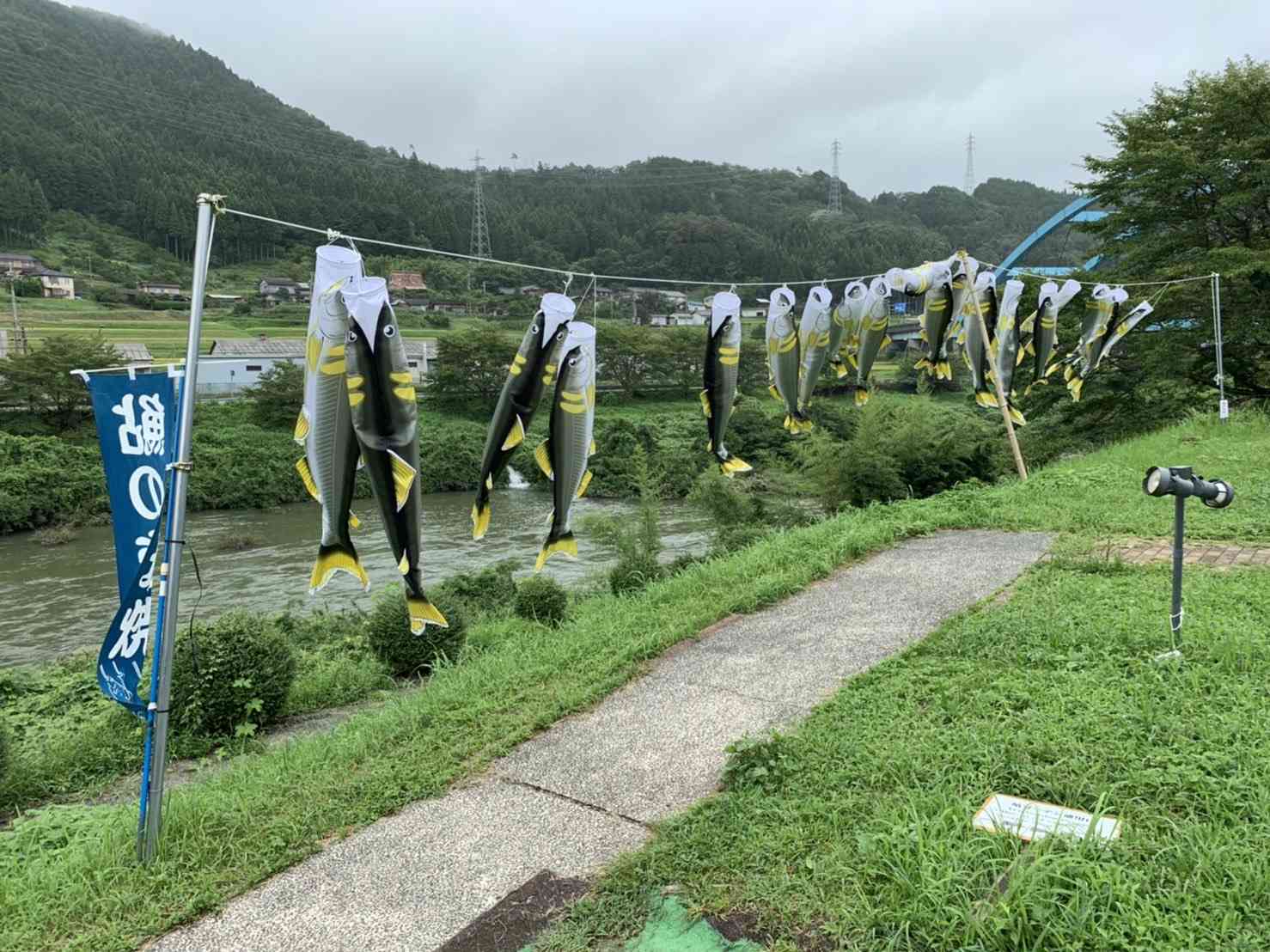 投稿された画像
