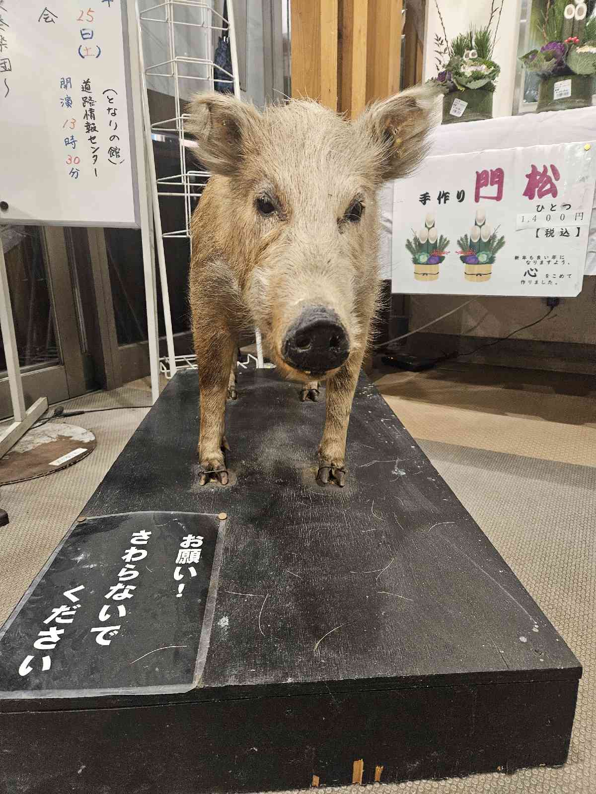 道の駅 和の写真