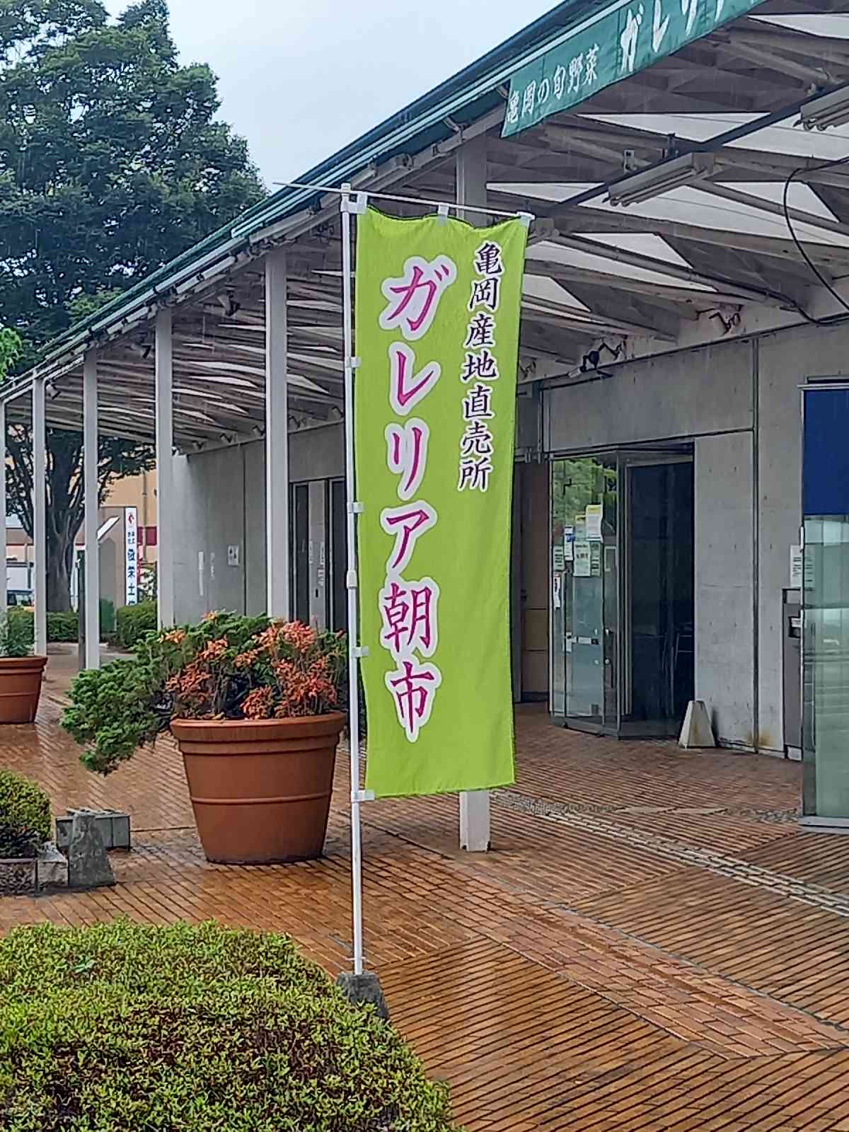 投稿された画像