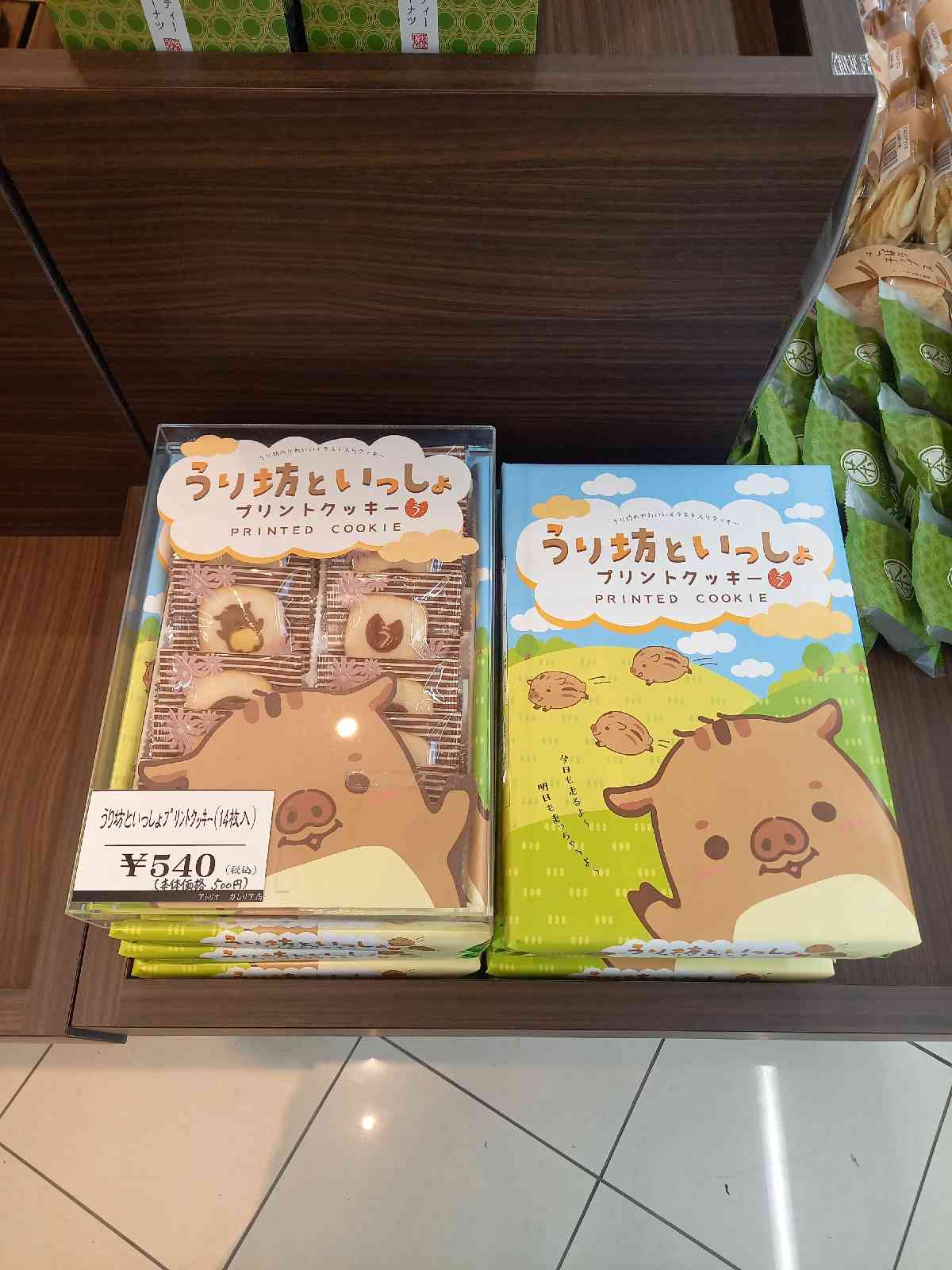 投稿された画像