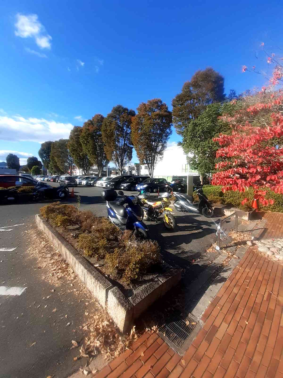 投稿された画像