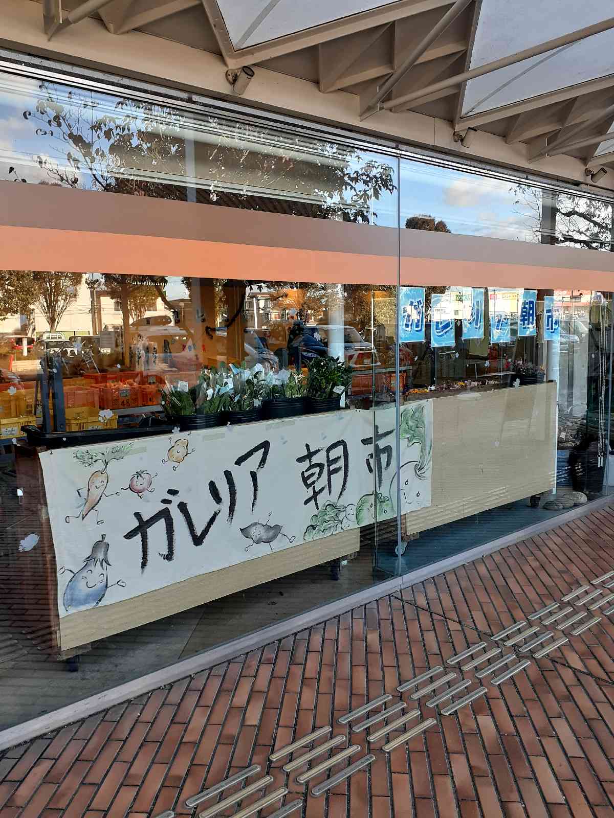 投稿された画像